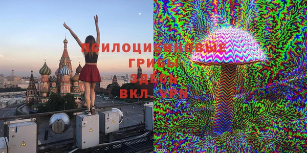 хмурый Горняк