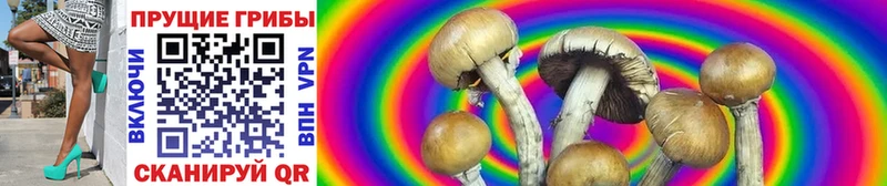 Галлюциногенные грибы MAGIC MUSHROOMS  Ивантеевка 